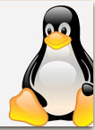 linux hosting