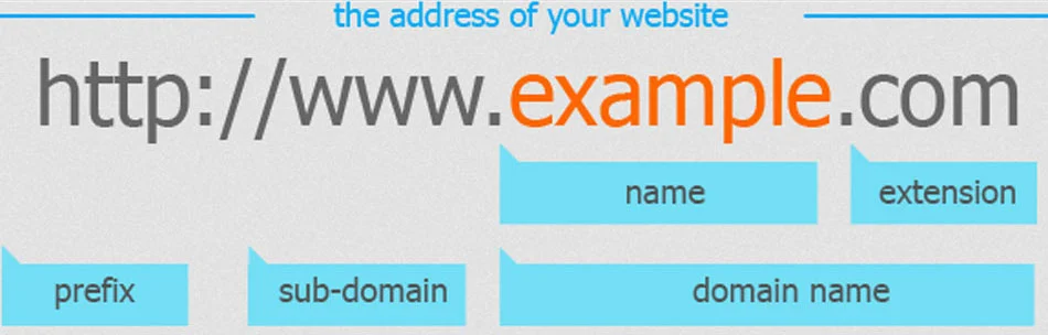 domain name system